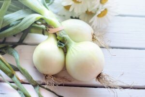 Health Benefits of Onions Raw
