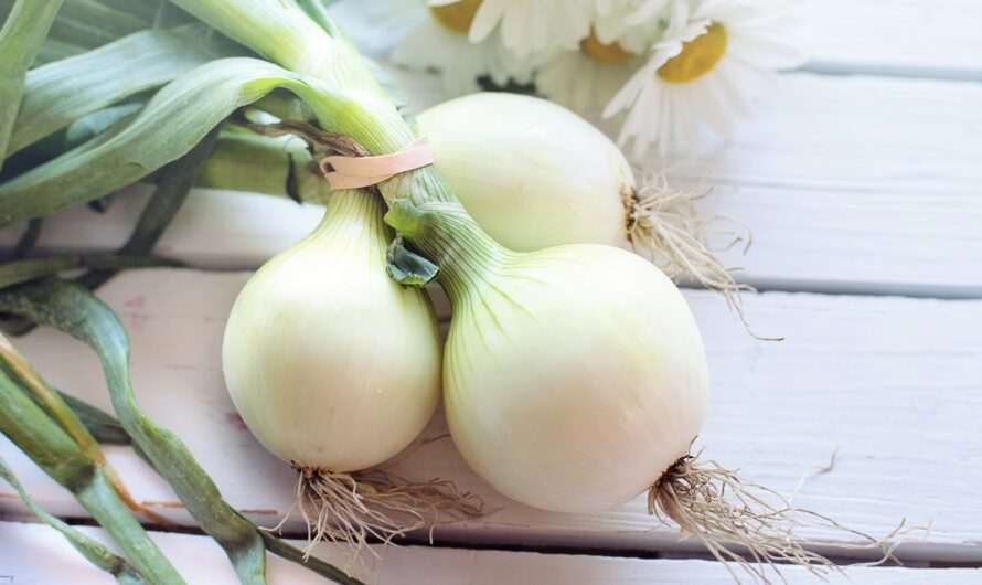 Health Benefits of Onions Raw | Best 9 Impressive 2022